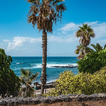 Splendid Penthouse With Terrace In The Center Of Lägenhet